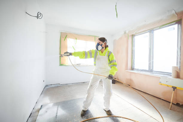 Best Mold Odor Removal Services  in Encinitas, CA