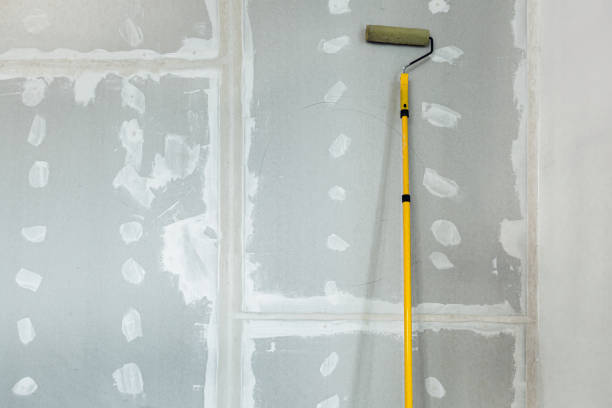 Mold Odor Removal Services in Encinitas, CA