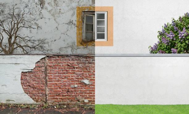 Reliable Encinitas, CA Mold Removal Solutions
